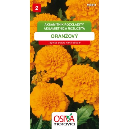 Semínka Aksamitník rozkladitý oranžový (Tagetes patula nana double) Semínka Aksamitník rozkladitý oranžový (Tagetes patula nana double)