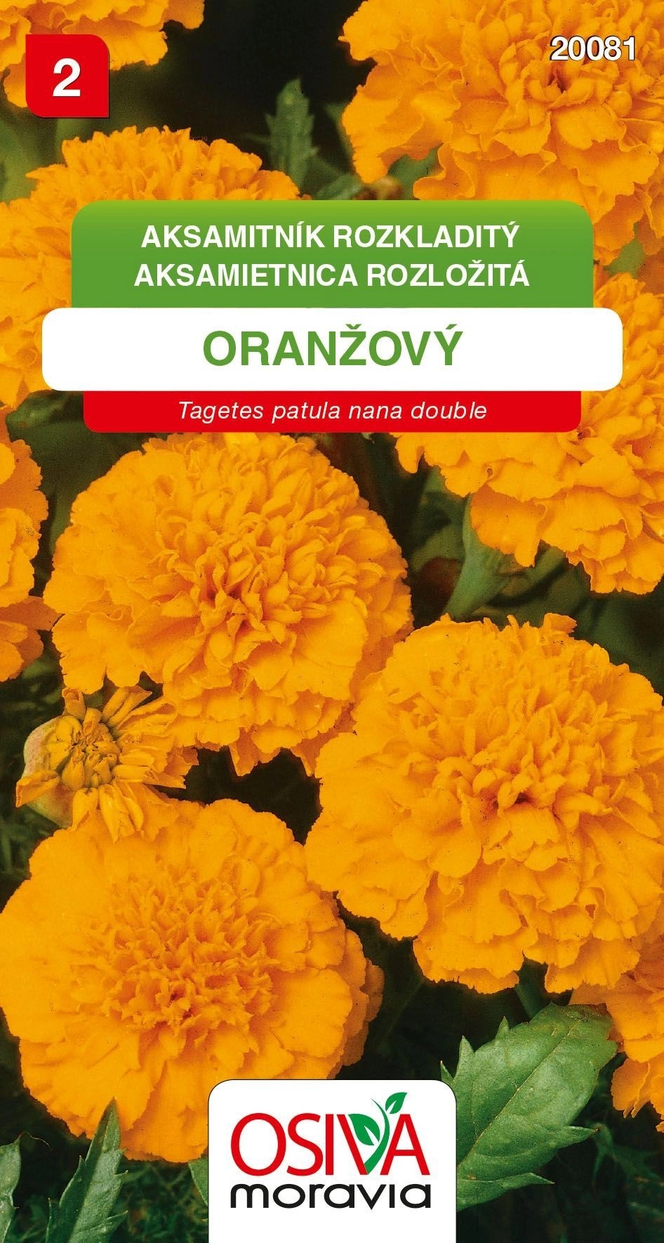 Semínka Aksamitník rozkladitý oranžový (Tagetes patula nana double) Semínka Aksamitník rozkladitý oranžový (Tagetes patula nana double)
