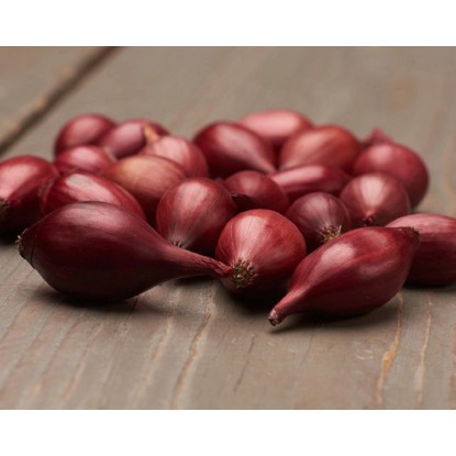 GardenSeed Premium BIO Cibule sazečka Red Baron, 300 g GardenSeed Premium BIO Cibule sazečka Red Baron, 300 g