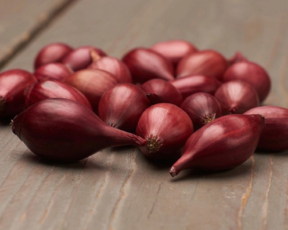 GardenSeed Premium BIO Cibule sazečka Red Baron, 300 g GardenSeed Premium BIO Cibule sazečka Red Baron, 300 g