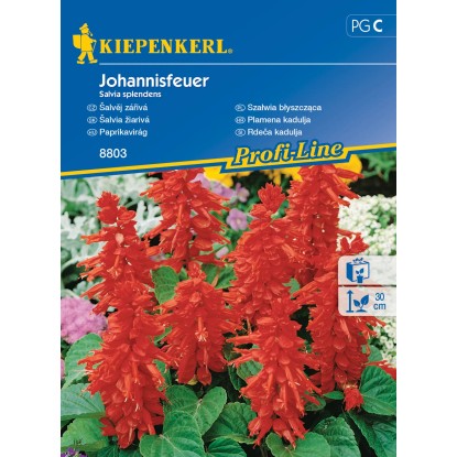 Kiepenkerl Semínka Šalvěj zářivá Johannisfeuer Kiepenkerl Semínka Šalvěj zářivá Johannisfeuer