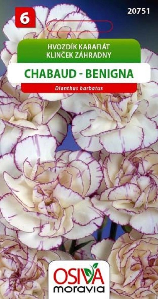 Semínka Hvozdík Karafiát - Chabaud - Benigna (Dianthus caryophyllus) Semínka Hvozdík Karafiát - Chabaud - Benigna (Dianthus caryophyllus)