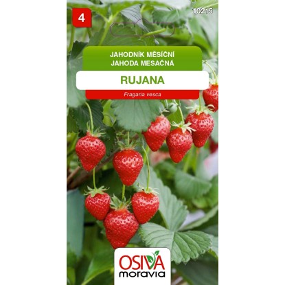 Semínka Jahodník měsíční Rujana (Fragaria vesca) Semínka Jahodník měsíční Rujana (Fragaria vesca)