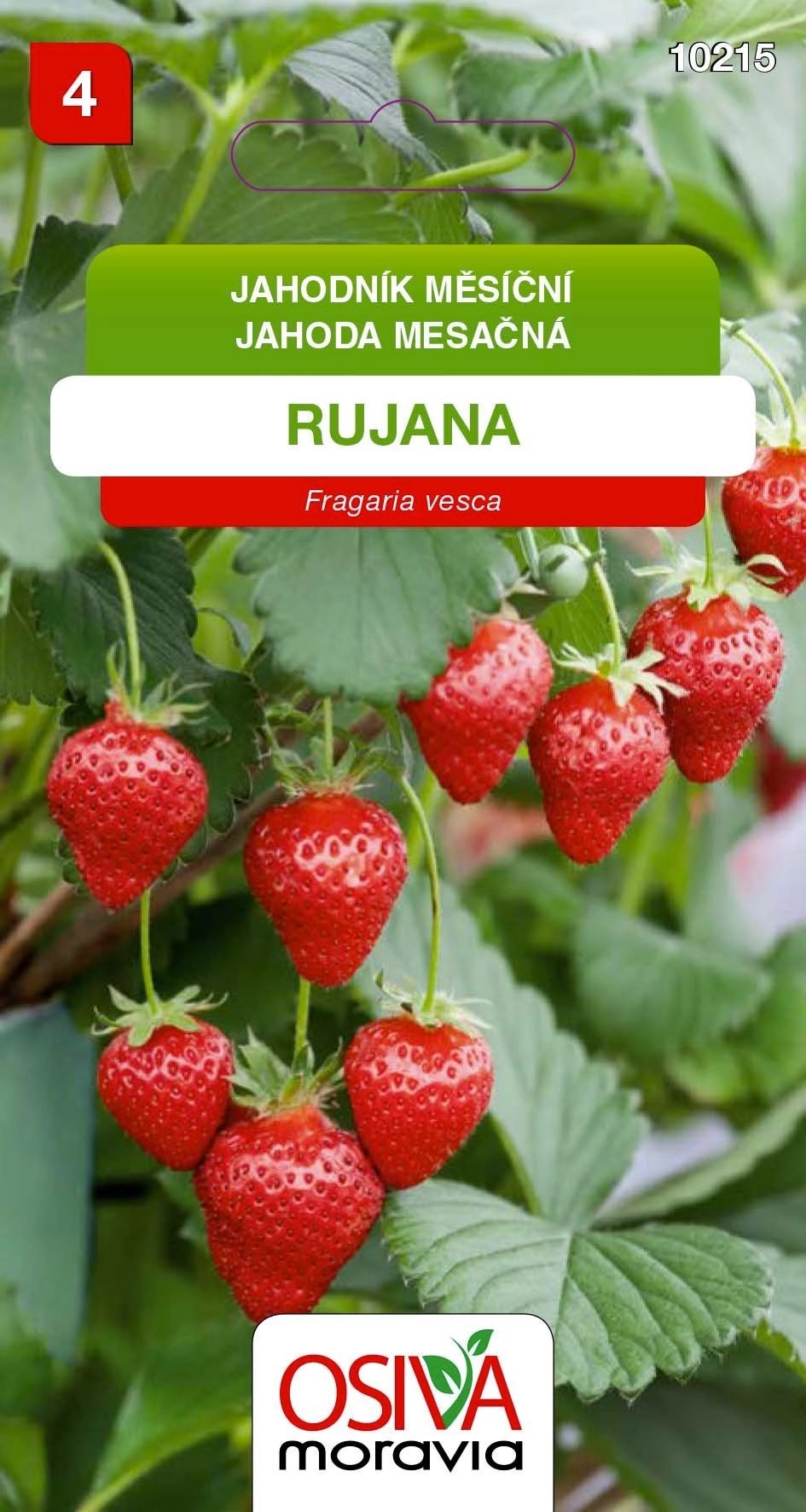 Semínka Jahodník měsíční Rujana (Fragaria vesca) Semínka Jahodník měsíční Rujana (Fragaria vesca)
