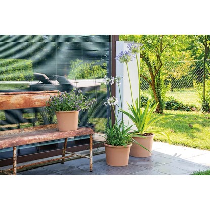 Květináč Deroma Cylinder Bordato, 43 cm, bílý, terakota s rostlinami venku. Květináč Deroma Cylinder Bordato, 43 cm, bílý, terakota s rostlinami venku.