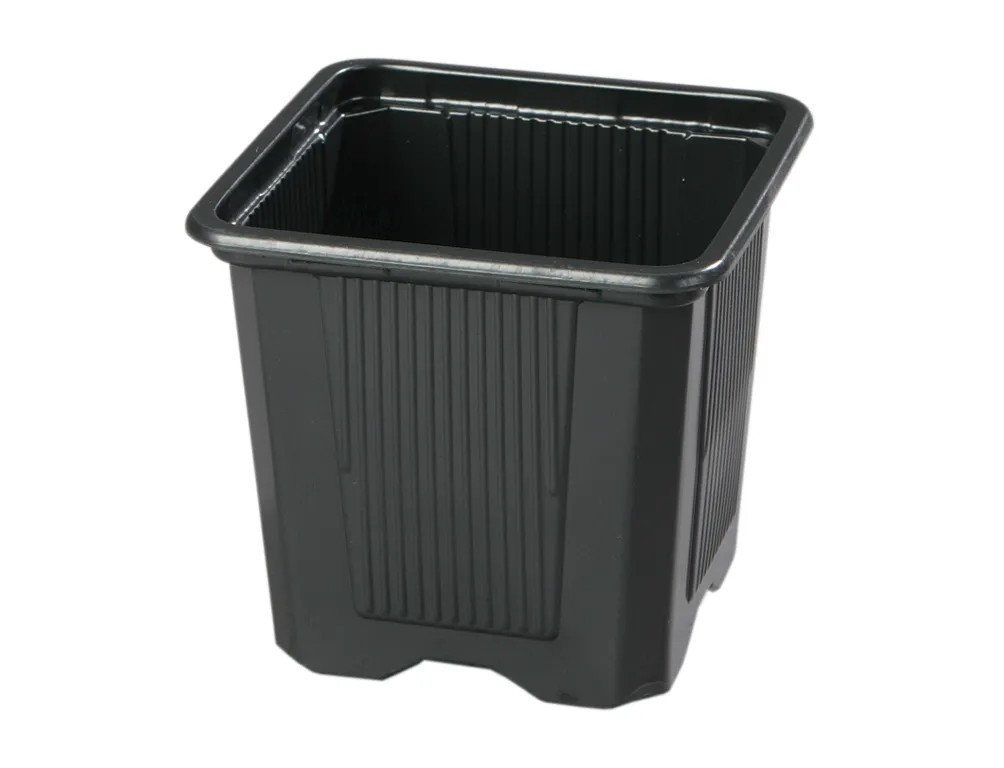 Květináč V odlehčený černý, 7 x 7 x 6,5 cm Květináč V odlehčený černý, 7 x 7 x 6,5 cm