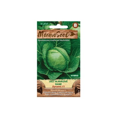 MoravoSeed Zelí hlávkové rané DYNAMIC F1 - hybrid, ke skladování MoravoSeed Zelí hlávkové rané DYNAMIC F1 - hybrid, ke skladování