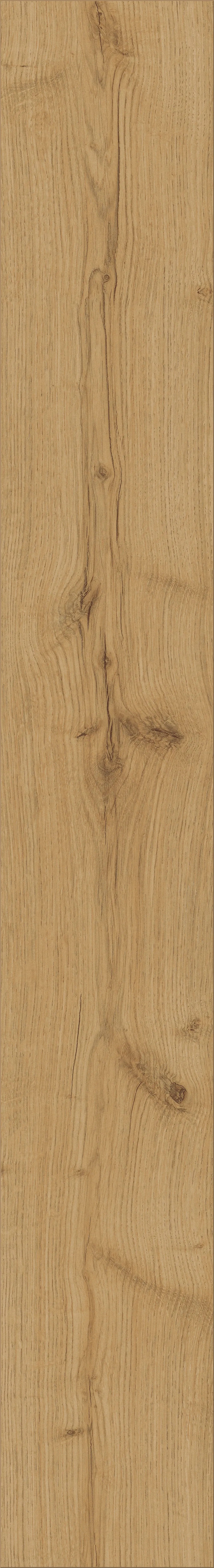 Kaindl Comfort Laminát 7 mm Dub Severina: Jednotlivá laminátová deska ve světlém dřevěném vzhledu s kresbou. Kaindl Comfort Laminát 7 mm Dub Severina: Jednotlivá laminátová deska ve světlém dřevěném vzhledu s kresbou.