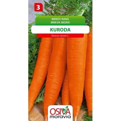 Mrkev Raná - Kuroda (Daucus carota L.) Mrkev Raná - Kuroda (Daucus carota L.)