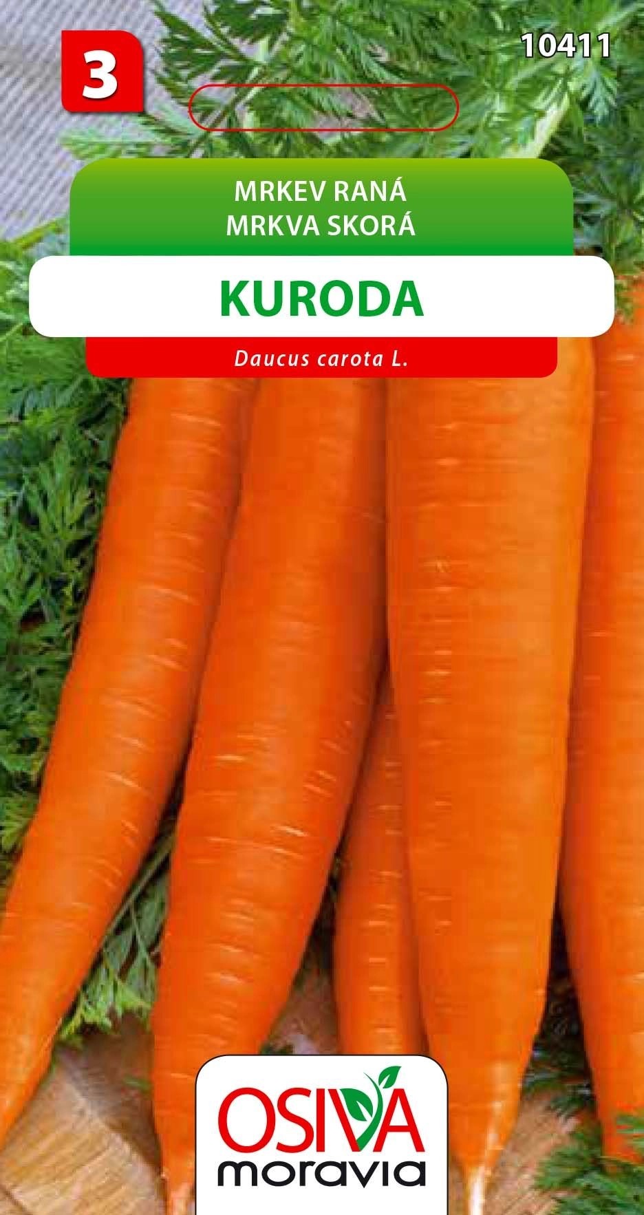 Mrkev Raná - Kuroda (Daucus carota L.) Mrkev Raná - Kuroda (Daucus carota L.)