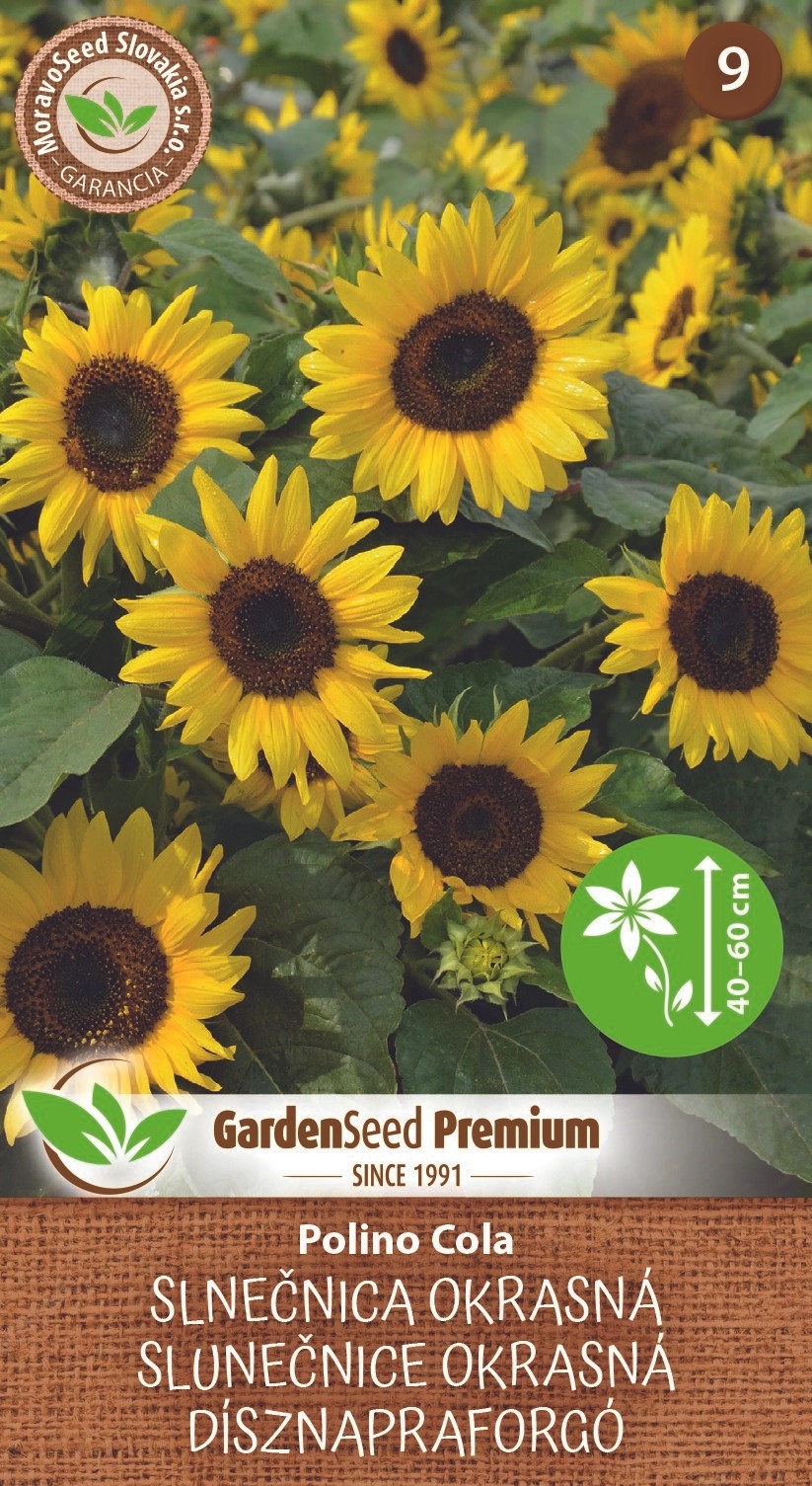 GardenSeed Premium Slunečnice okrasná - PolinoCola GardenSeed Premium Slunečnice okrasná - PolinoCola