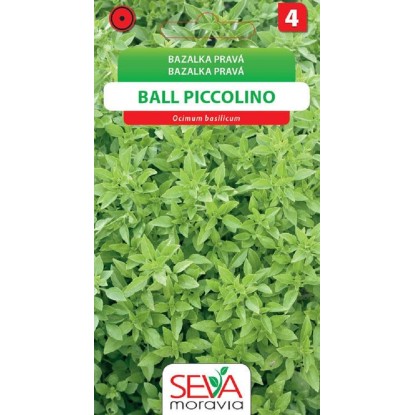 Semínka Bazalka pravá Ball Piccolino (Ocimum basilicum) Semínka Bazalka pravá Ball Piccolino (Ocimum basilicum)