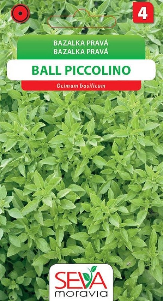 Semínka Bazalka pravá Ball Piccolino (Ocimum basilicum) Semínka Bazalka pravá Ball Piccolino (Ocimum basilicum)