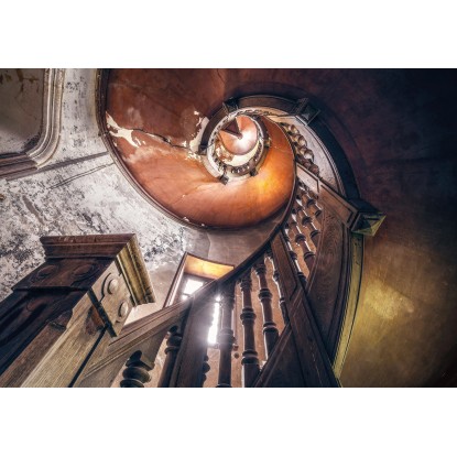 Komar Vliesová fototapeta Oak Spiral 400 x 280 cm Komar Vliesová fototapeta Oak Spiral 400 x 280 cm