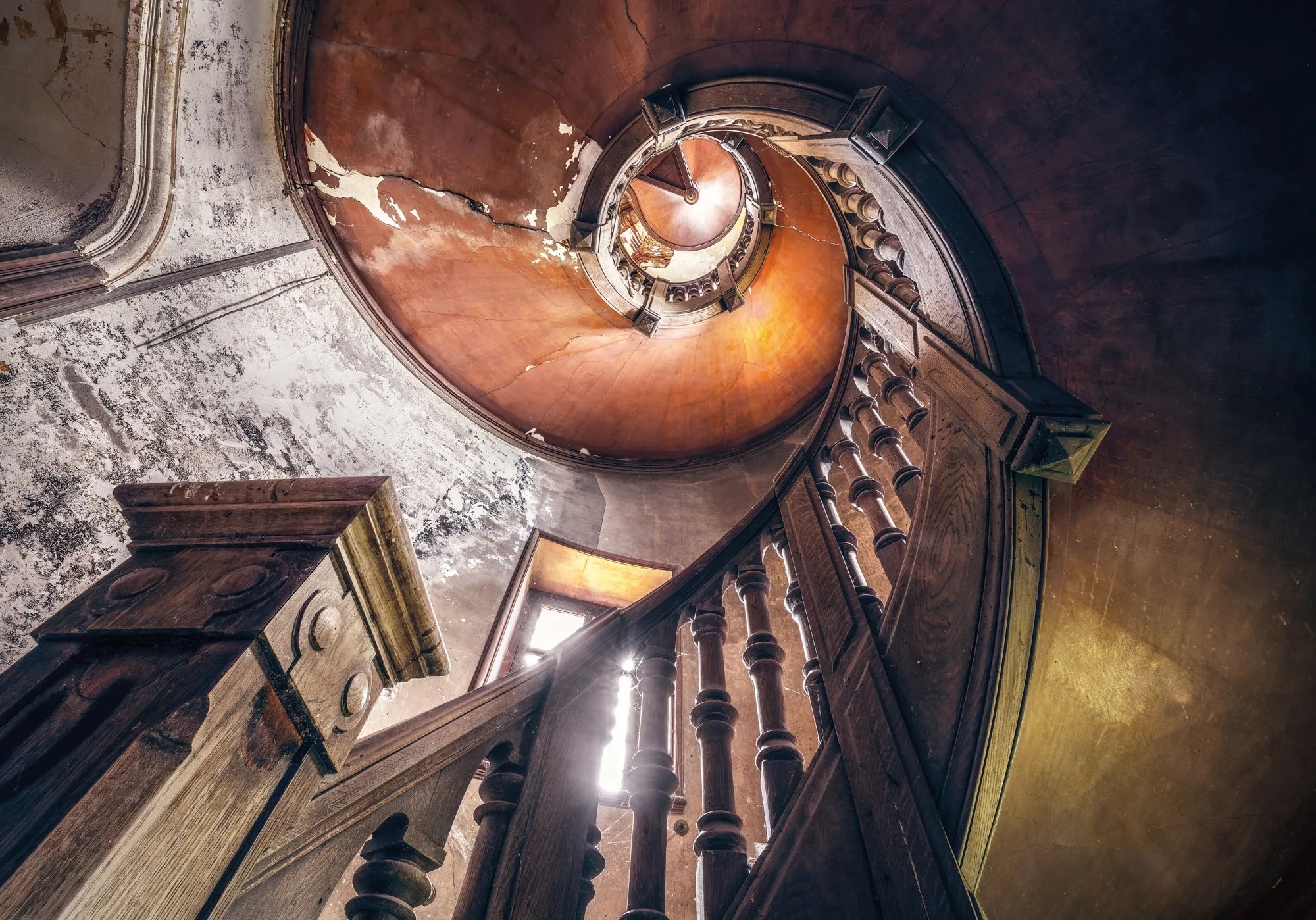 Komar Vliesová fototapeta Oak Spiral 400 x 280 cm Komar Vliesová fototapeta Oak Spiral 400 x 280 cm