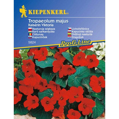 Kiepenkerl Semena lichořeřišnice Kaiserin Viktoria Kiepenkerl Semena lichořeřišnice Kaiserin Viktoria