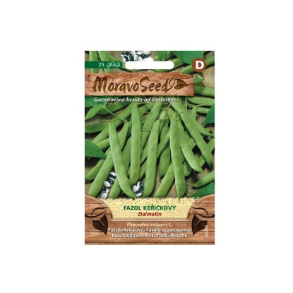 MoravoSeed Fazol keříčkový DALMATIN, zelený MoravoSeed Fazol keříčkový DALMATIN, zelený