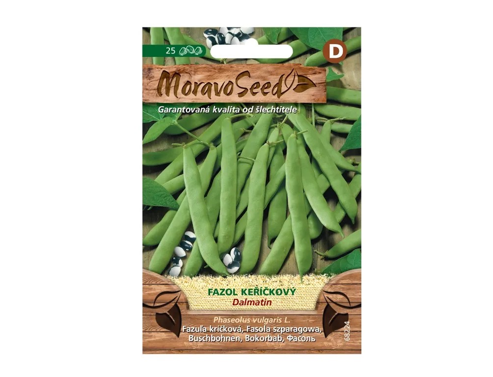 MoravoSeed Fazol keříčkový DALMATIN, zelený MoravoSeed Fazol keříčkový DALMATIN, zelený