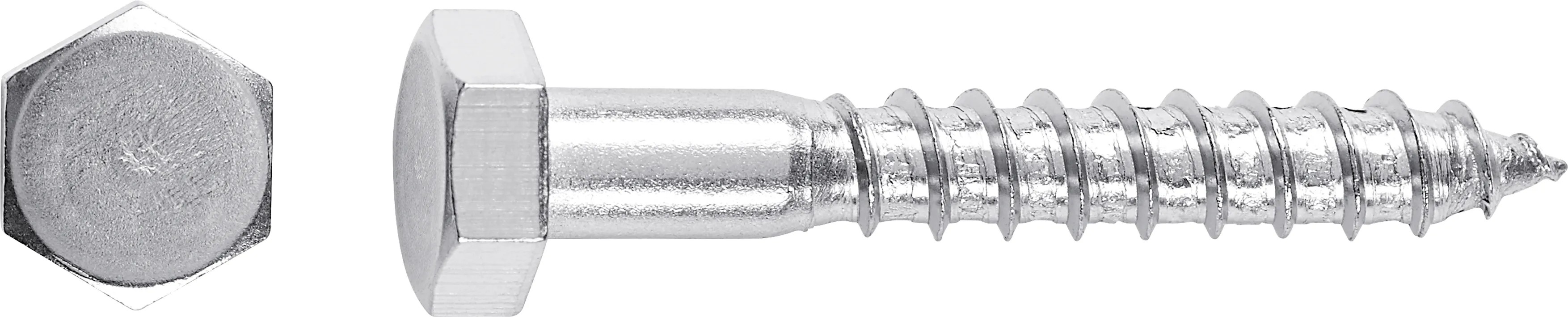 Vrut do dřeva se šestihrannou hlavou SW17 ocel A2 10 x 50 mm, 2 ks Vrut do dřeva se šestihrannou hlavou SW17 ocel A2 10 x 50 mm, 2 ks