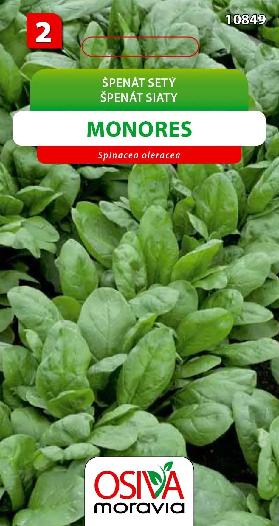 Semínka Špenát setý Monores (Spinacea oleracea) Semínka Špenát setý Monores (Spinacea oleracea)