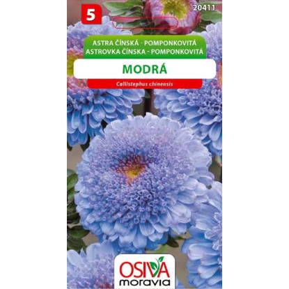 Semínka Astra čínská pomponkovitá modrá (Callistephus chinensis) Semínka Astra čínská pomponkovitá modrá (Callistephus chinensis)