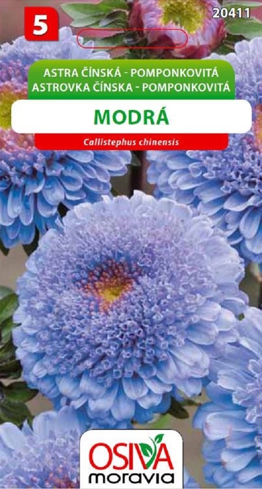 Semínka Astra čínská pomponkovitá modrá (Callistephus chinensis) Semínka Astra čínská pomponkovitá modrá (Callistephus chinensis)