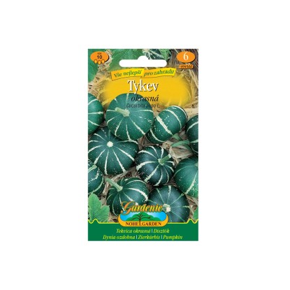 Gardenie Tykev okrasná kulatá, zeleno-bílá Gardenie Tykev okrasná kulatá, zeleno-bílá