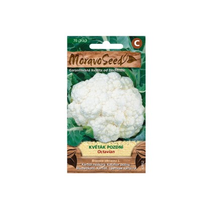 MoravoSeed Květák pozdní OCTAVIAN MoravoSeed Květák pozdní OCTAVIAN