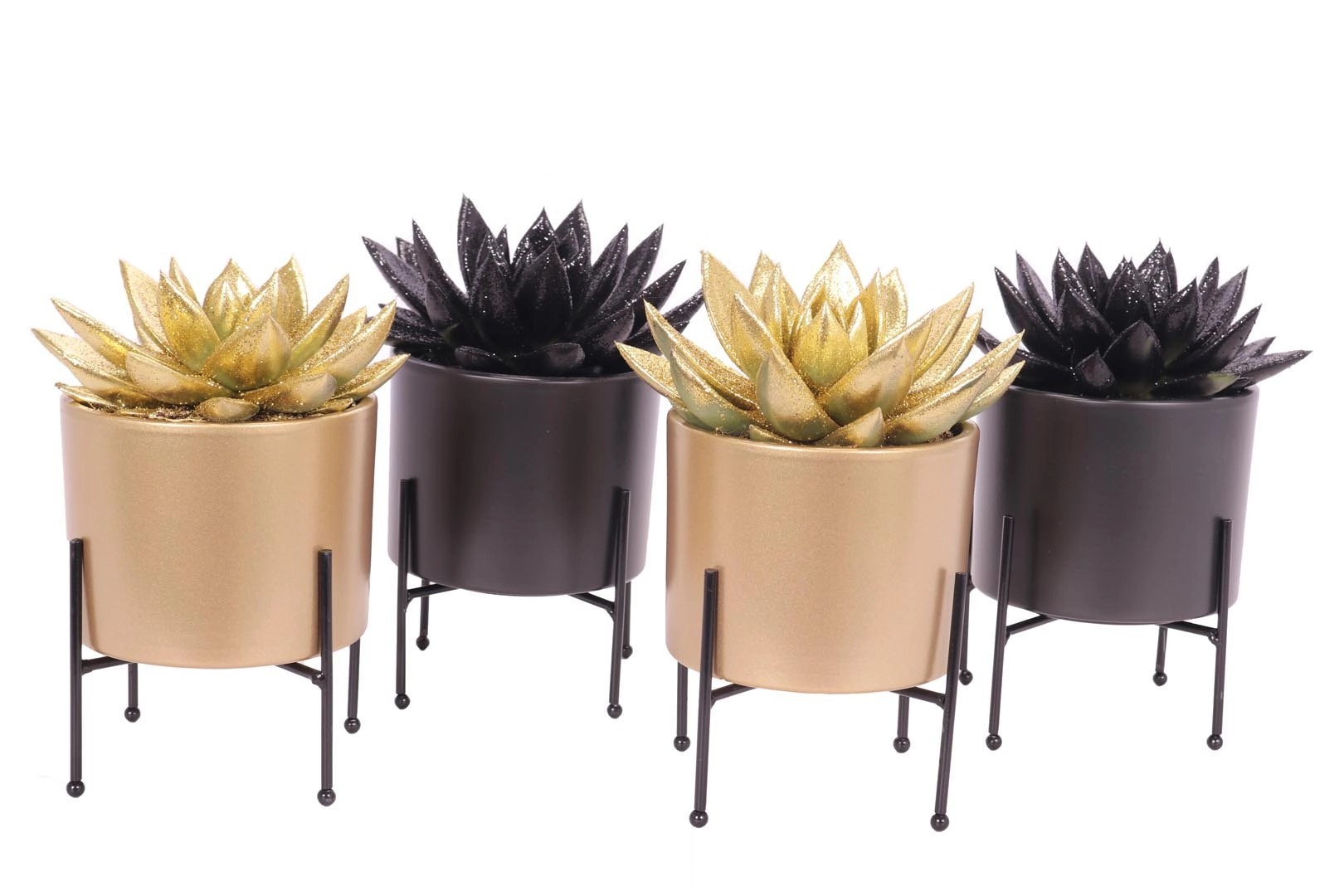 Dužnatka v keramické květináči různé druhy 20-25 cm, pr. květináče cca 11 cm Dužnatka v keramické květináči různé druhy 20-25 cm, pr. květináče cca 11 cm