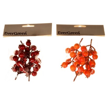 EverGreen Šípky, 3 svazky, 2 barvy EverGreen Šípky, 3 svazky, 2 barvy