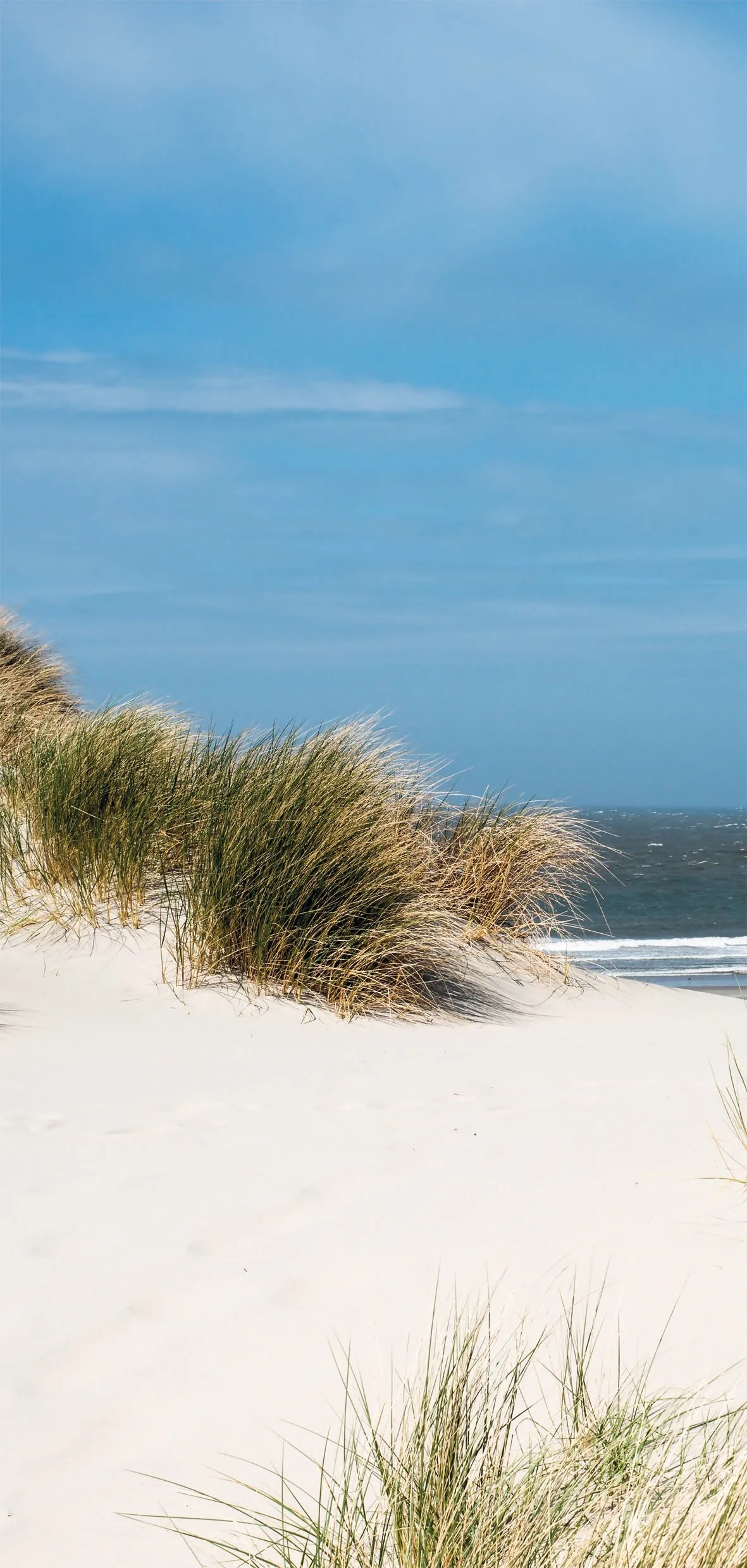 Sanotechnik Dekorativní sprchový panel Sanowall, severní moře L, 100 x 205 cm Sanotechnik Dekorativní sprchový panel Sanowall, severní moře L, 100 x 205 cm