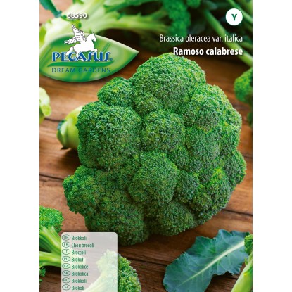 Pegasus Brokolice Ramoso calabrese Pegasus Brokolice Ramoso calabrese