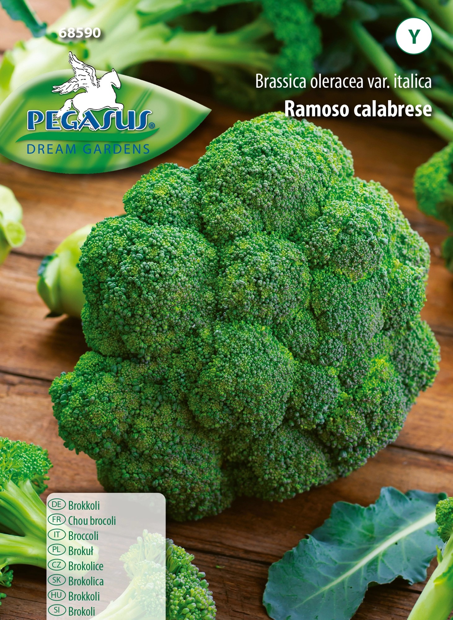 Pegasus Brokolice Ramoso calabrese Pegasus Brokolice Ramoso calabrese