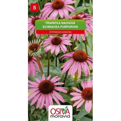 Balíček semen třapatky nachové. Echinacea purpurea s růžovými květy. Balíček semen třapatky nachové. Echinacea purpurea s růžovými květy.
