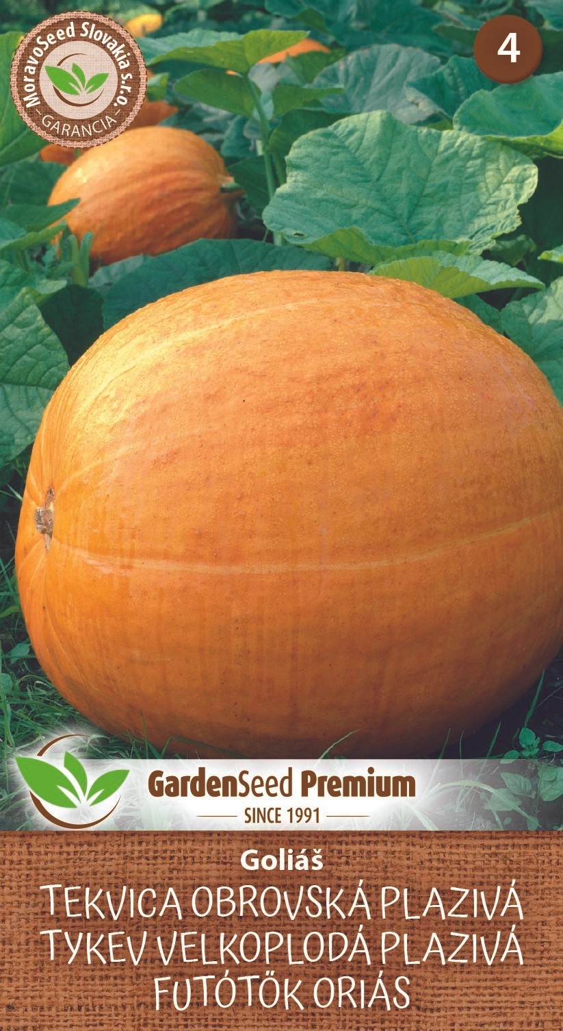 GardenSeed Premium Semínka Tykev velkoplodá plazivá Goliáš GardenSeed Premium Semínka Tykev velkoplodá plazivá Goliáš