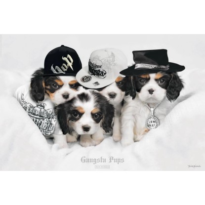 Maxiposter 61 Cm X 91 5 Cm Keith Kimberlin Gangsta Pups Koupit V OBI