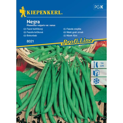 Kiepenkerl Semínka Fazol keříčkový Negra Kiepenkerl Semínka Fazol keříčkový Negra