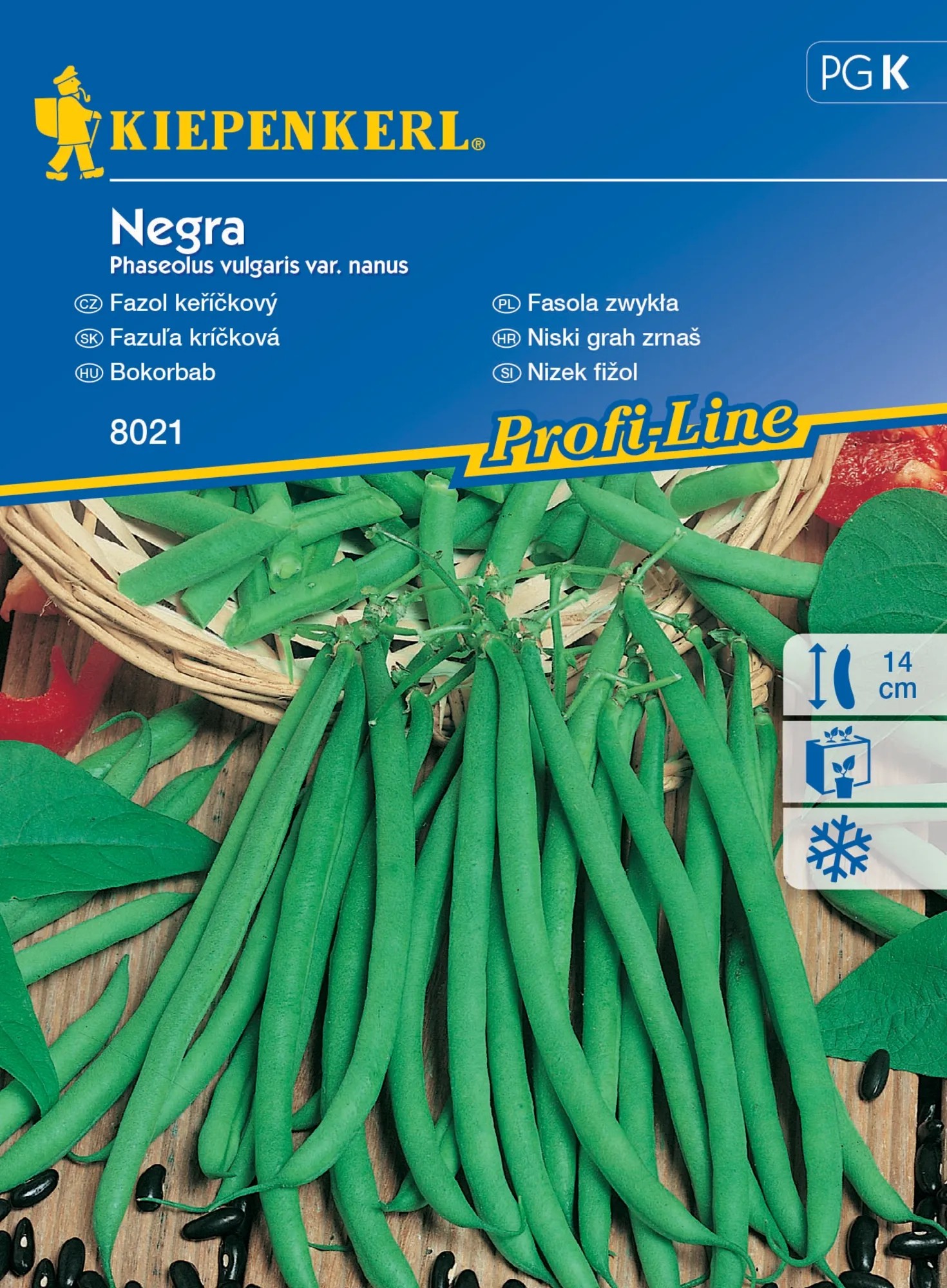 Kiepenkerl Semínka Fazol keříčkový Negra Kiepenkerl Semínka Fazol keříčkový Negra