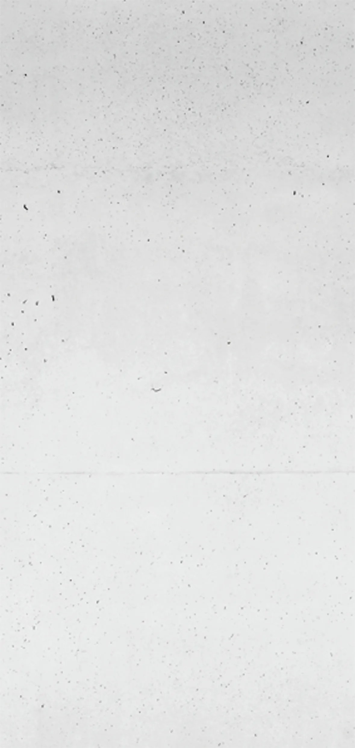 Sanotechnik Dekorativní sprchový panel Sanowall, beton, 100 x 205 cm Sanotechnik Dekorativní sprchový panel Sanowall, beton, 100 x 205 cm