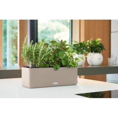 Květináč Lechuza Cube Color Triple, 40 cm, pískově hnědá, osázený bylinkami. Květináč Lechuza Cube Color Triple, 40 cm, pískově hnědá, osázený bylinkami.
