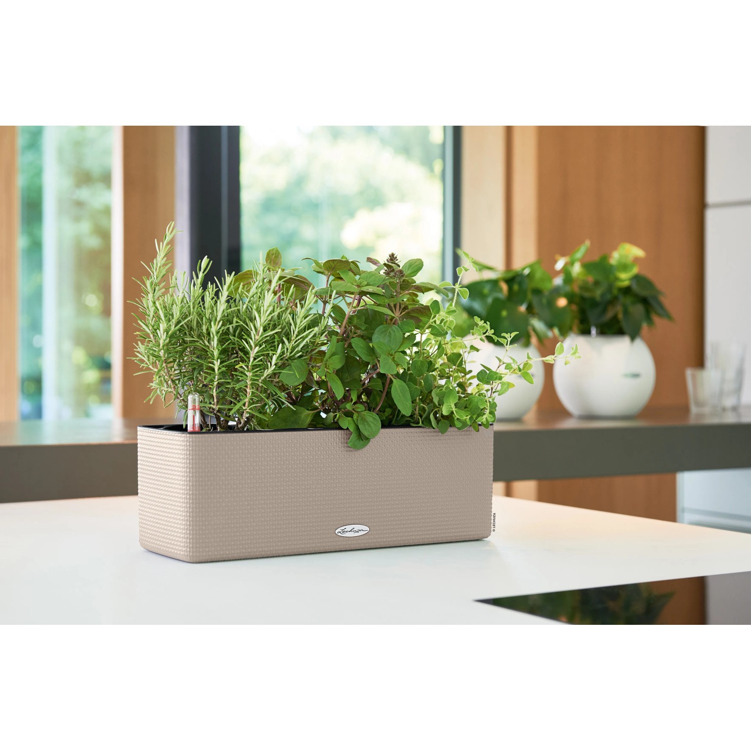 Květináč Lechuza Cube Color Triple, 40 cm, pískově hnědá, osázený bylinkami. Květináč Lechuza Cube Color Triple, 40 cm, pískově hnědá, osázený bylinkami.