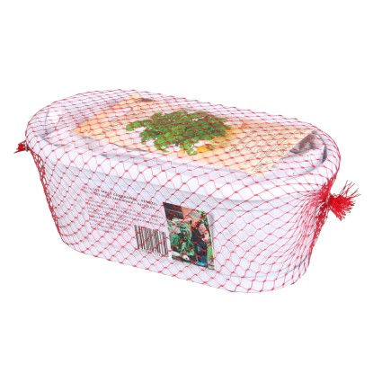 Nohel Garden Truhlík Malý zahradník substrát + petržel 22 cm Nohel Garden Truhlík Malý zahradník substrát + petržel 22 cm