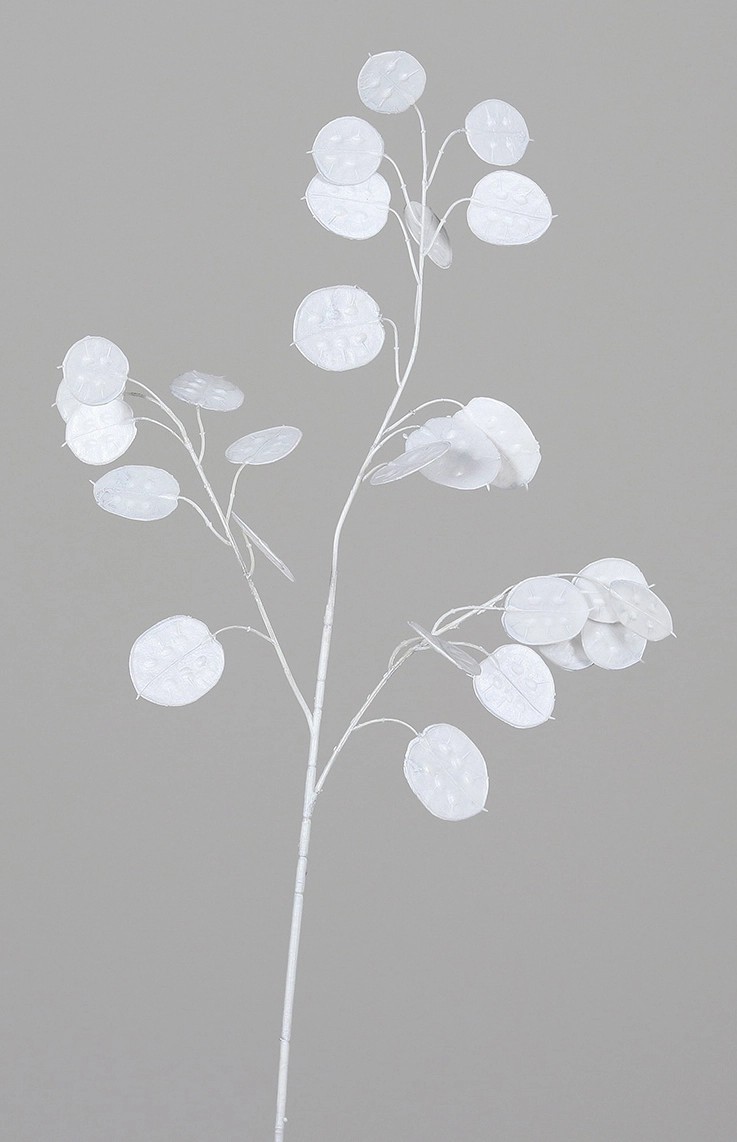 Umělá větvička měsíčnice, bílá, 68 cm Umělá větvička měsíčnice, bílá, 68 cm