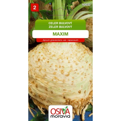 Semínka Celer bulvový Maxim (Apium graveolens var. rapaceum) Semínka Celer bulvový Maxim (Apium graveolens var. rapaceum)