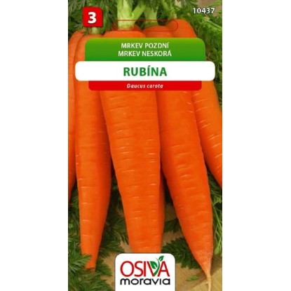 Semínka Mrkev pozdní Rubína (Daucus carota) Semínka Mrkev pozdní Rubína (Daucus carota)