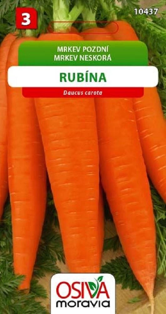 Semínka Mrkev pozdní Rubína (Daucus carota) Semínka Mrkev pozdní Rubína (Daucus carota)