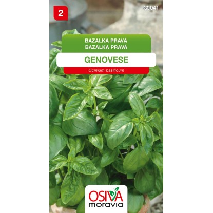 Semínka Bazalka pravá Genovese (Ocimum basilicum) Semínka Bazalka pravá Genovese (Ocimum basilicum)