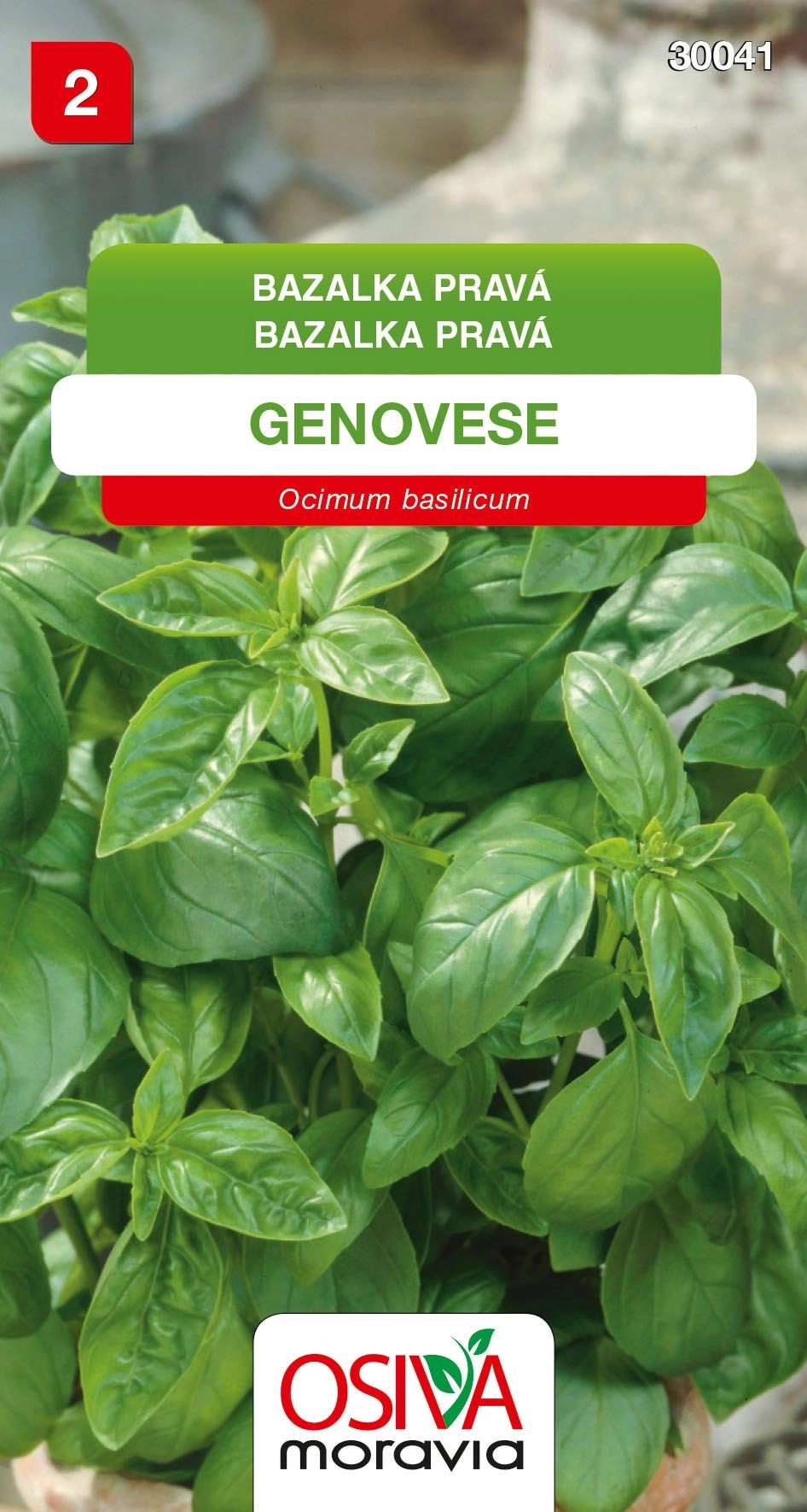 Semínka Bazalka pravá Genovese (Ocimum basilicum) Semínka Bazalka pravá Genovese (Ocimum basilicum)