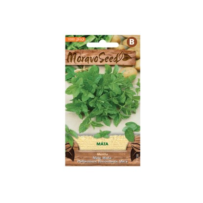 MoravoSeed Máta peprná MoravoSeed Máta peprná