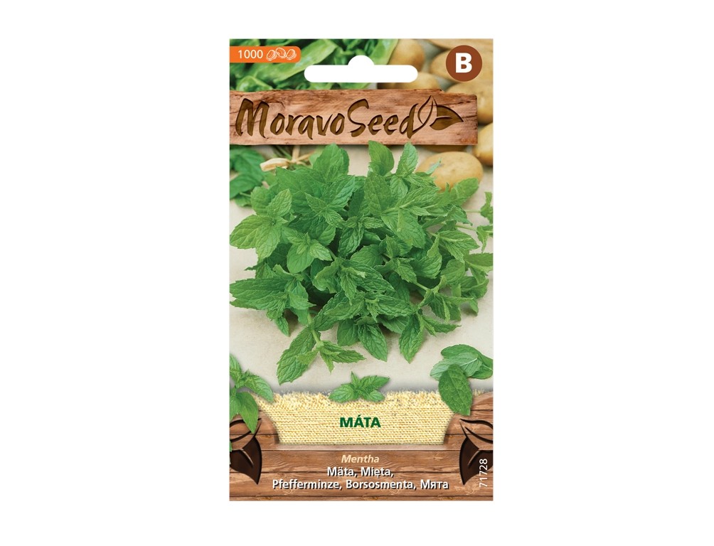 MoravoSeed Máta peprná MoravoSeed Máta peprná